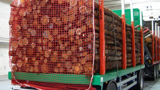 Das neu konzipierte Seminar „Ladungssicherung für Rohholztransporte“ ist als fünftes Modul der BKF-Fortbildung anerkannt. (Bild: 3G-Kompetenzzentrum)