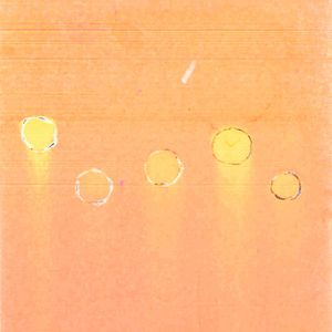 Abb.2: Dünnschichtchromatographie von ausgewählten N-Komplexbildnern (1%ige wässerige Lösungen) auf DC-Fertigplatten (Kieselgel 60 auf Alufolien, Laufmittel: 80% Methanol; 10% Ammoniakwasser 25%ig, 10% Wasser; Anfärbereagenz: salzsaure, ethanolische PAN-Lösung (1-(2 pyridilazo)2-naphtol) mit Kupfer(II)-sulfat bis zur beginnenden Violettfärbung)