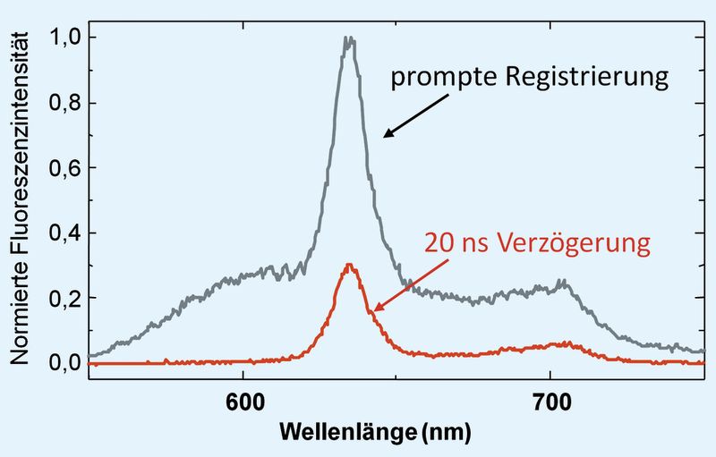 Abb.4: Darstellung des zeitverzögerten Fluoreszenznachweises anhand von PpIX. Das in Rot dargestellte Spektrum entspricht der PpIX-Fluoreszenz. Die Komponenten mit kurzer Fluoreszenzabklingzeit (ca. 3 ns), die bei der prompten Registrierung das gesamte Spektrum überlagern (Autofluoreszenz), sind durch die Zeitverzögerung von 20 ns nicht mehr nachweisbar. (Bild: MDC Berlin)