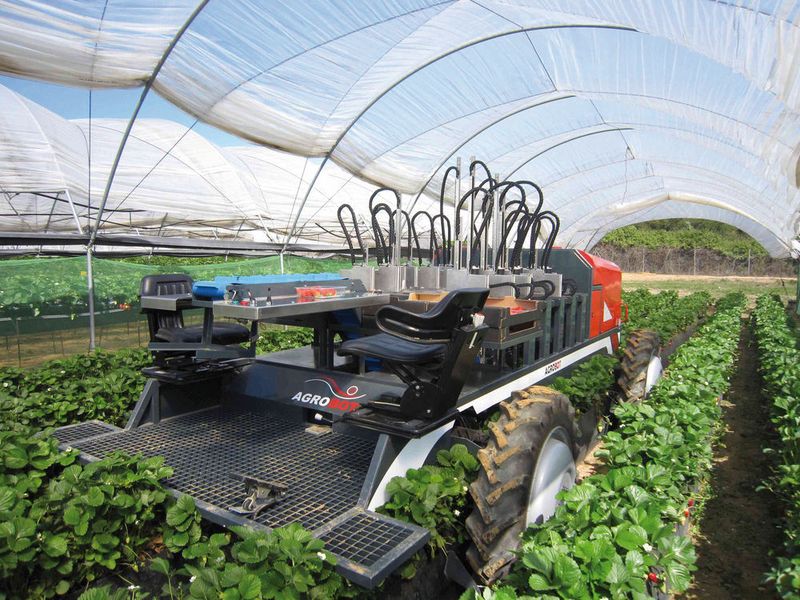 Ultraschallsensoren sorgen dafür, dass die Roboterarme stets einen sicheren Abstand zum Boden haben und schützen sie so vor Beschädigung aufgrund von Bodenunebenheiten. (Bild: Pepperl+Fuchs)