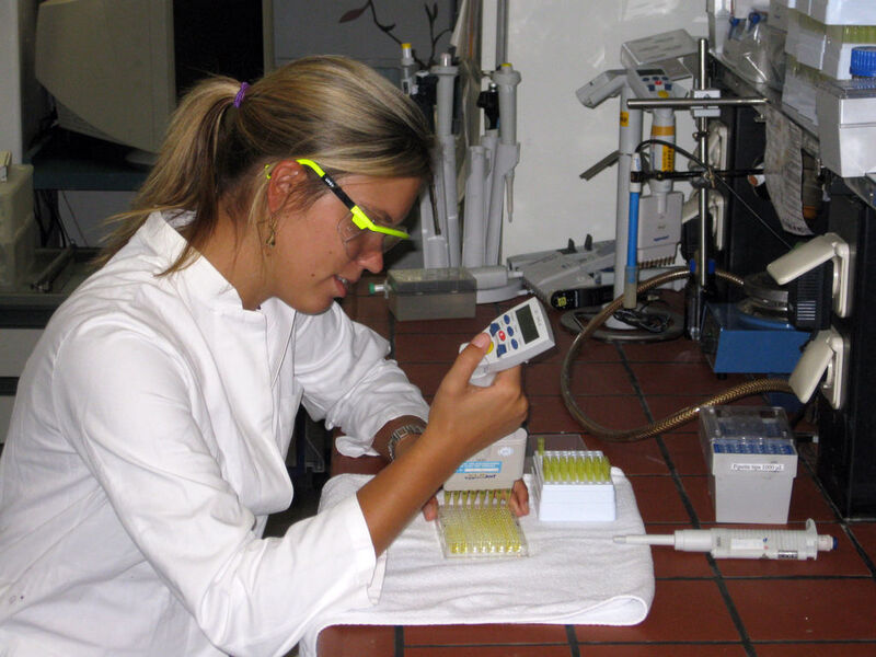 Ein Schnelltest auf Mikrotiterplatten vereinfacht die Prüfung auf Diclofenac-Rückstände.  (Bild: Andreas Battenberg)