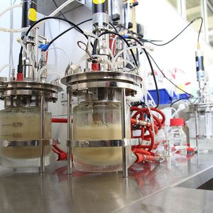 Optimierung des Fermentationsprozesses zur biotechnologischen Herstellung von Mono- und Dicarbonsäuren aus kohlenstoffhaltigen industriellen Abfallströmen.