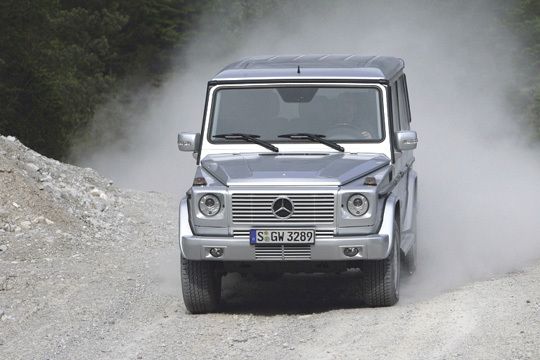 In der Wildnis daheim: Stolze 22 Zentimeter Bodenfreiheit und 50 Zentimeter Wattiefe machen den G 350 zu einem echten Geländegänger. (Archiv: Vogel Business Media)