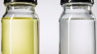  (Foto: Tobias Oechler Fotografie)