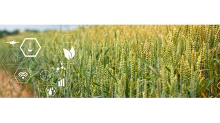 Digitalisierung kann die Ressourceneffizienz in der Landwirtschaft steigern – so die Theorie. Wie aber sieht es tatsächlich in den Bereichen IoT, Big Data und KI in der Landwirtschaft heute aus? (Bild: © Belkin & Co - stock.adobe.com)