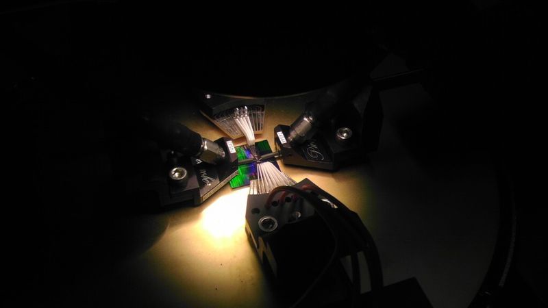 Der Chip ist etwa 10.000 mal leistungsfähiger als bisherige Graphen-ICs (IBM Research)