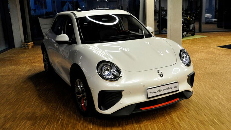 Der Ora Funky Cat hat 171 PS. (Bild: Wehner/Vogel Communications Group)