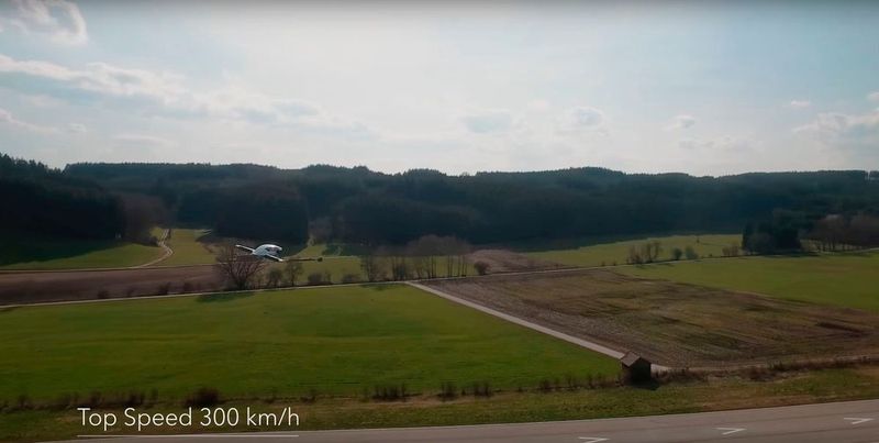 ist zudem preisgünstiger  (Lilium)