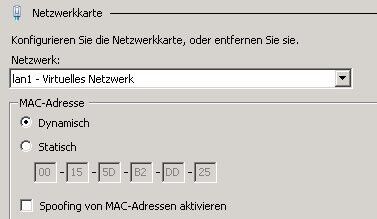 Abbildung 4 - Konfigurieren der MAC-Adressen eines virtuellen Servers (Archiv: Vogel Business Media)