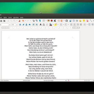 (Robert di Marcoberardino/Screenshot)