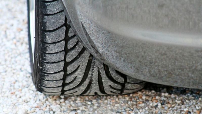 Was die Entwaldungsverordnung konkret für die Kfz-Betriebe bedeutet, ist noch unklar. Weil die Branche unter anderem Produkte aus Kautschuk verwendet (Reifen, Dichtungen, Schläuche), ist die Sorge vor weiteren Dokumentations- und Nachweispflichten groß. Nun wurde die EU-Verordnung noch mal um ein Jahr bis 2027 verschoben. (Bild:  frei lizenziert /  Pixabay)