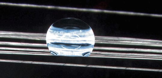 Wo Wasser nicht benetzen kann: Selbst gedehnte Fasern lassen den Wassertropfen (blau) abperlen. (Mikroskopie, 20-fache Vergrösserung)(Bild:  Cilander//Empa)