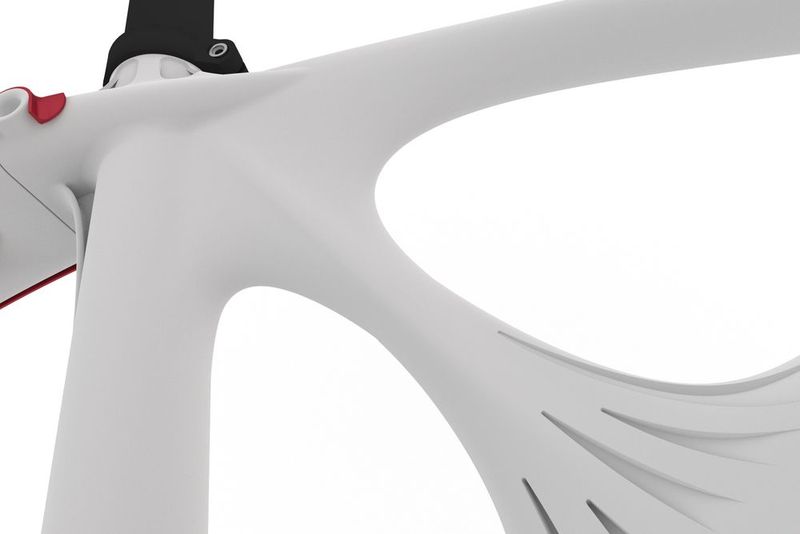 Die neu entwickelte Querverstrebung wurde bei einer Kieselalge abgeschaut. Deren Streben-Verästelung bildete das natürliche Vorbild der Rippenstruktur beim Übergang von der mittleren Strebe zum Unterrohr. (Bild: Alfred-Wegener-Institut, Paul Bomke)