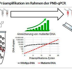 Ausschnitt aus dem diagnostischen Ablauf der neuen Methode 