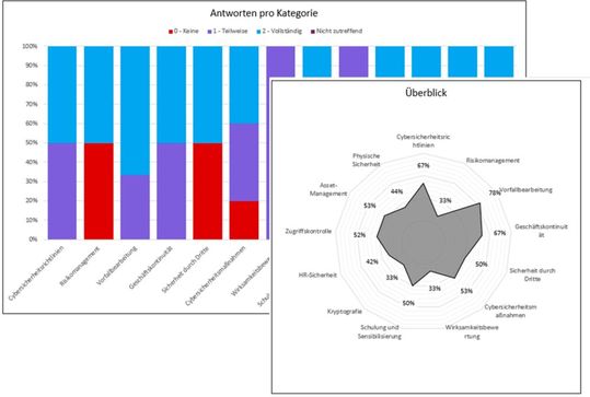 Übersicht der Ergebnisse nach Selbsteinschätzung.(Bild:  XSOC)