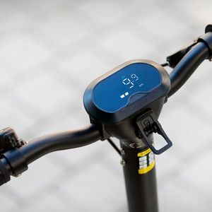 Das Display ist einfarbig gehalten.(Bild:  Govecs)