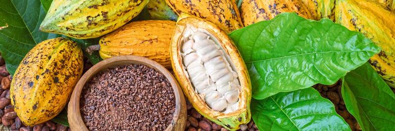 Kakaobohnen lassen sich zu köstlicher Schokolade verarbeiten. Leider nehmen die Bohnen aber auch Schwermetalle auf, wenn die Böden belastet sind. Nun hat ein Team an BESSY II erstmals genauer analysiert, wo sich Cadmium in den Bohnen anreichert.