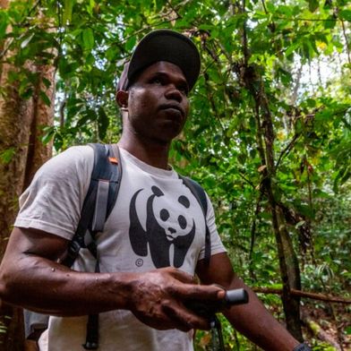 Im Einsatz für den Artenschutz: Ein WWF-Ranger durchstreift den Regenwald. Das geplante Wildlife Protection Operations Center soll solche Einsätze KI- und datenbasiert optimieren. (Bild: Emmanuel Rondeau / WW_US)