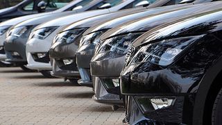 90200809 (Foto: Grimm)