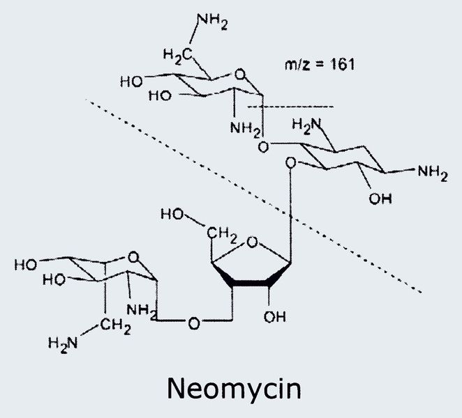 Abb.7a: s. Abb.7b,7c; a) Struktur von Neomycin, b) Massenspektrum  des M+-Ions von Neomycin c) TIC des  Serums versetzt mit Neomycin; Säule: ZICHILIC,  150 x 2,1 mm, 5 µm, Eluent: A:  95 Prozent ACN in Acetat/Formiat-Puffer, B: 5 Prozent ACN in Acetat/Formiat-Puffer, Gradient:  20 bis 80 Prozent B (0,1 bis 0,5 min), 80 Prozent B für 5,5 min [1]. (Archiv: Vogel Business Media)