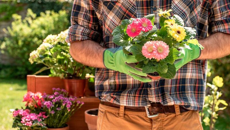 Dass Gartenarbeit nicht nur Handarbeit ist, zeigen wir mit unseren zwölf Technik-Gadgets, mit denen das Werkeln aber auch Genießen im Garten richtig Spaß macht.
