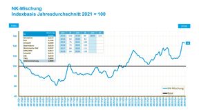 Der WDK-Rohstoffindex für eine typische Naturkautschuk-Mischung ist zuletzt auf den höchsten Stand seit rund zwei Jahren geklettert. (Bild: WDK)