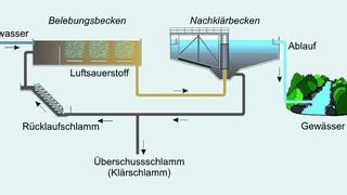 Abb. 1: Vereinfachtes Schema einer Kläranlage: Kennzeichnende Größe bei der Schlammstabilisierung ist der organische Anteil der Trockensubstanz.  (Bild: www.kan.at)