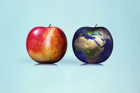 Jeder Apfel ist wie eine eigene Welt und beherbergt rund 100.000 Bakterien, das so genannte Mikrobiom des Apfels (Symbolbild). Jeder Apfel ist wie eine eigene Welt und beherbergt rund 100.000 Bakterien, das so genannte Mikrobiom des Apfels (Symbolbild).