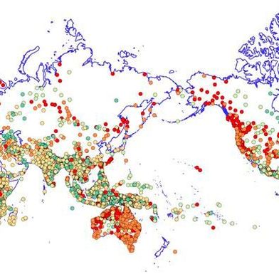 Contemporary languages and endangerment status. Made with a Natural Earth base map using data from Glottolog 5.3 and information adapted from Glottoscope. (Source: Claire Bowern)