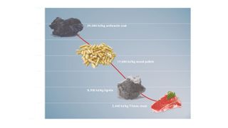 Abb.1: Energieinhalte von verschiedenen Proben  (Bild: IKA)