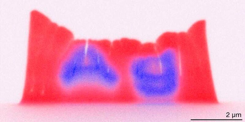 Chemische Abbildung einer gedruckten 3D-Struktur mit variierender Verteilung der Legierungselemente (rot: Kupfer, blau: Silber). Die lokalen chemischen Eigenschaften können während des Drucks mit einer Auflösung von 250 Nanometern kontrolliert werden. (Alain Reiser/ETH Zürich)