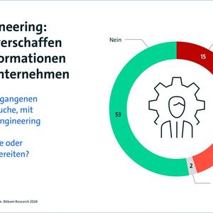 (Bild:  Bitkom Research 2024)