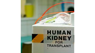 Zur Datenintegration wird der Sensor mit der Ware verpackt und übermittelt seine Daten in Echtzeit in die Blockchain. (Cryptotec)