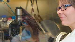 Im Labor an der Technischen Fakultät baut Hansen erste Prototypen von Siliziumbatterien zusammen, um zu testen, wie vielen Ladezyklen sie standhalten. (Uni Kiel)