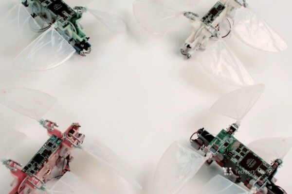 Vier Protoypen der Dragonfly (TechJect)