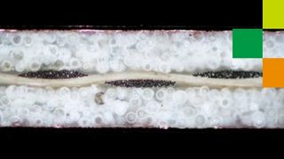 rogers-rt-duroid-5280lz-laminates (Rogers Corporation)