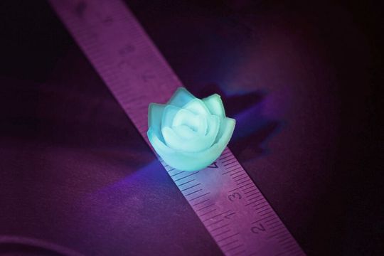Um zu zeigen, dass sich feine Aerogel-Strukturen im 3D-Druck fertigen lassen, druckten Forscher eine Lotusblüte aus Aerogel. Um zu zeigen, dass sich feine Aerogel-Strukturen im 3D-Druck fertigen lassen, druckten Forscher eine Lotusblüte aus Aerogel.