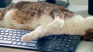 Langeweile im Homeoffice? Gadgets können helfen. (Jürgen Fälchle - stock.adobe.com)