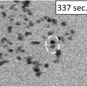 Prozess der Vergröberung unter Beobachtung: Die Platin-Nanoteilchen verklumpen und so wird die reaktive Oberfläche immer kleiner. 