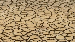 Durch den 5G-Mobilfunkstandard könnten zukünftig Treibhausgasemissionen eingespart werden, was zum Klimaschutz beiträgt.   (gemeinfrei)