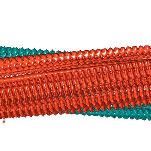 ((c) Forschungszentrum Jülich / HHU Düsseldorf / Gunnar Schröder)