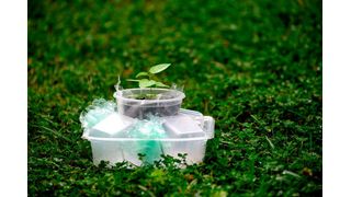 Der Biokunststoffmarkt ist im Vergleich zu konventionellen Kunststoffen noch ein recht kleines Pflänzchen. Grob gesagt kommen auf eine Tonne Biokunststoff 100 Tonnen herkömmlicher Kunststoff. (gemeinfrei)