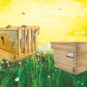 Das Projekt setzt Sensoren in Bienenstöcken ein für die bessere Analyse von Umweltchemikalien und anderen negativen Umwelteinflüssen. (Bild:  Micro-Sensys GmbH)