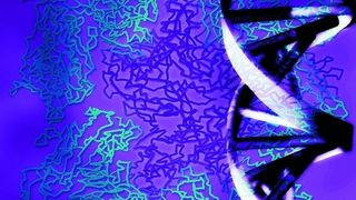  (Archiv: Vogel Business Media)