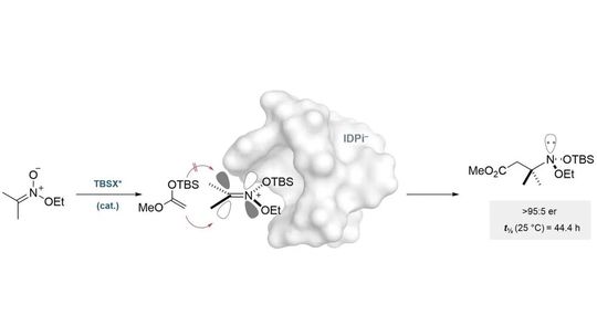 Die Abbildung zeigt die katalytische asymmetrische Addition eines Silylketenacetals an ein in situ erzeugtes Silylnitroniumion. (Bild:  Max-Planck-Institut für Kohlenforschung)