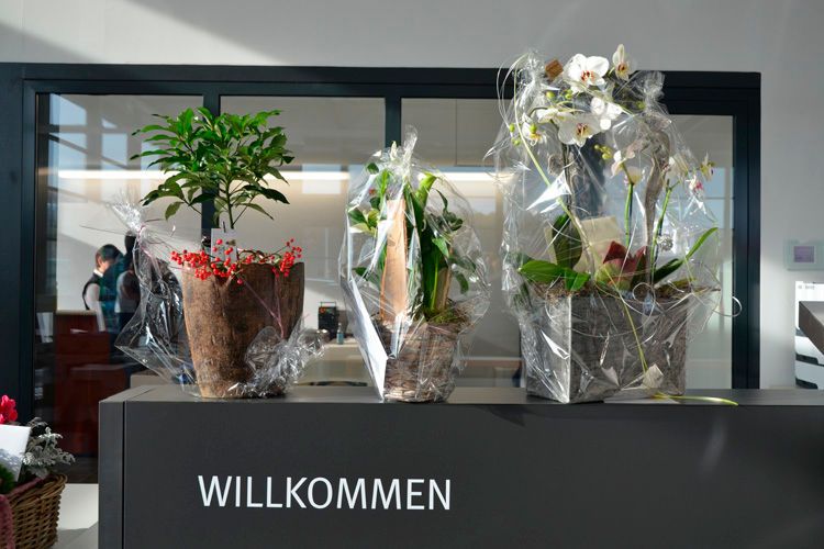 Zur Eröffnung am 8. November gab es von Freunden und Geschäftspartnern Blumen und Glückwünsche mit auf den Weg. (Foto: Seat)