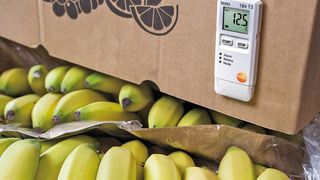 Die Messlösungen von Testo kommen weltweit beispielsweise bei der Qualitätssicherung von Lebensmitteln zum Einsatz. (Bild: Testo)