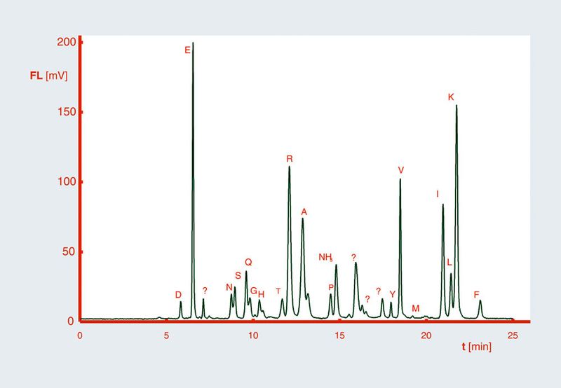 Abb.2: Fermentationskontrolle – Analyse  eines Hefeextraktes. Stationäre Phase: Watrex Amino Acid - AQC 5 µm; Säule: 250 x 4 mm mit 20 x 4 mm Vorsäule; Eluent A: 100 mM Na-Acetat-Puffer pH 6,4; Eluent B: 70% ACN/Wasser = 60/40 30%; Gradient: 5–18% B (0–4 min), 18–19% B (4–10 min), 19–35% B (10–16 min), 35–40% B (16–24 min); 40–60% B (24–31 min); Flussrate : 1,5 mL/min; lin. Fluss: 1,99 mm/sek; Druck: 20–24 MPa; Temperatur: 37 °C; Detektion(Fl): 254 exc.–395 em; Flusszelle: 16 mL.; Injektion: 20µL; Probe: Hefezellextrakt (Archiv: Vogel Business Media)