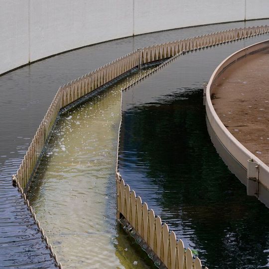The biomass of some exotic photosynthetic cyanobacteria can efficiently absorb REEs from wastewater. The biomass of some exotic photosynthetic cyanobacteria can efficiently absorb REEs from wastewater.