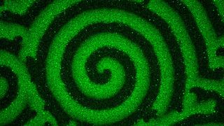 Experimentell beobachtetes Protein-Muster (Simon Kretschmer © MPI für Biochemie)